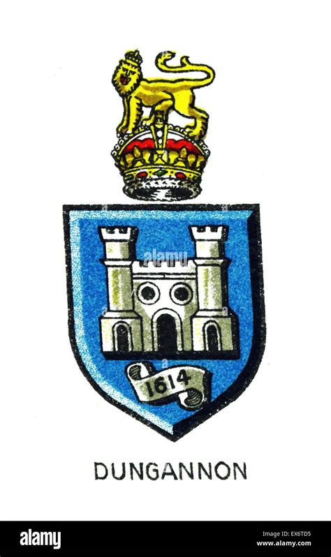 dungganon meaning|Dungannon (Tyrone) .